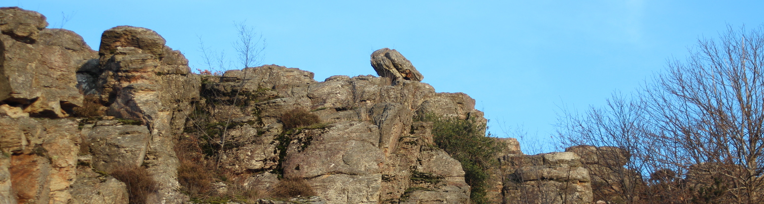 Le rocher d'escalade